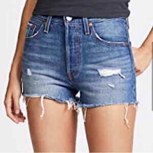 PAIGE Daryn Short Cortez Destructed